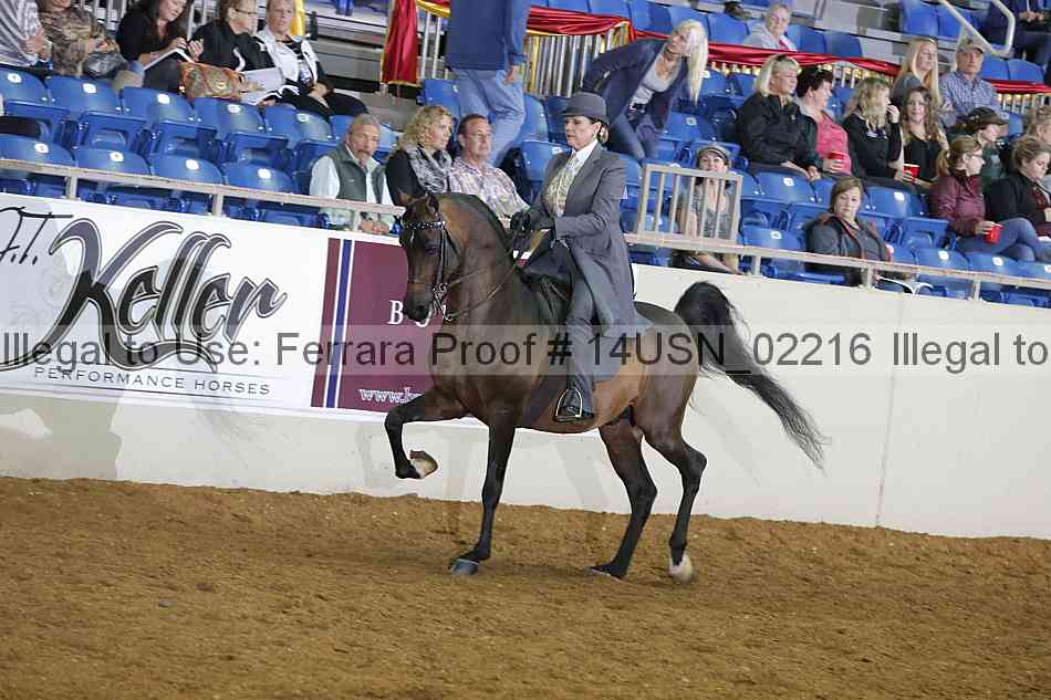 Proof 14usn_02216