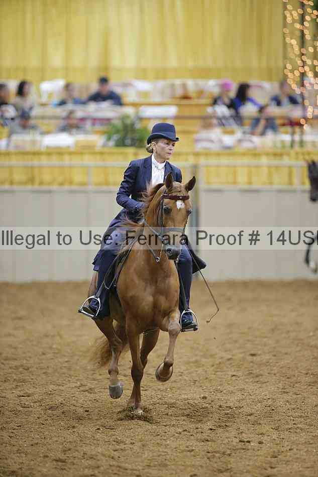 Proof 14usn_02221