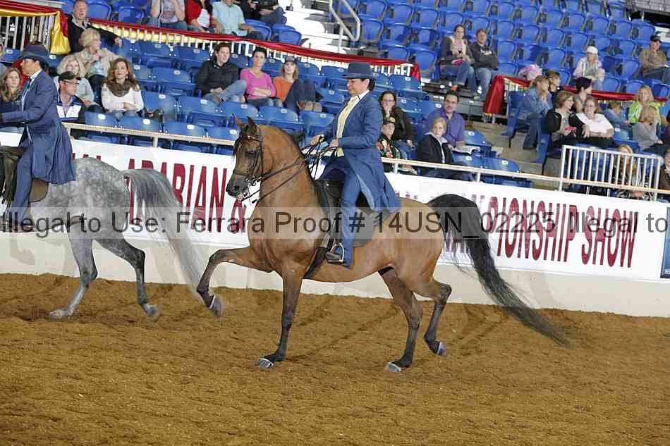 Proof 14usn_02225