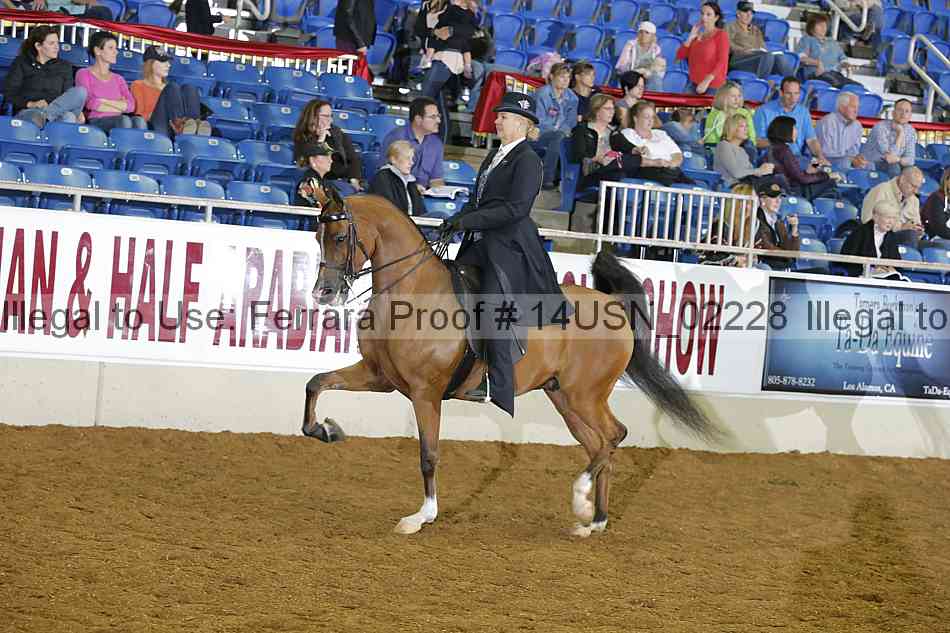 Proof 14usn_02228