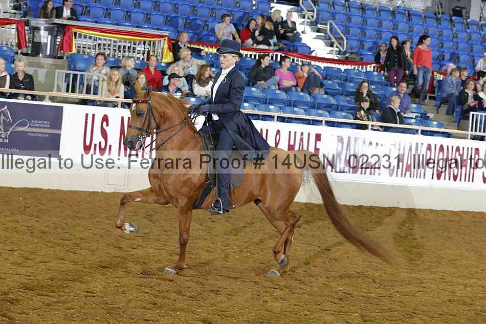 Proof 14usn_02231