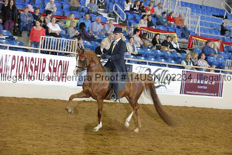 Proof 14usn_02234