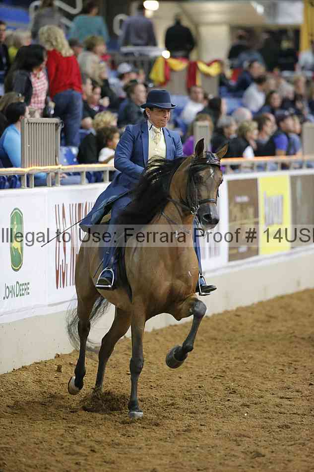 Proof 14usn_02235