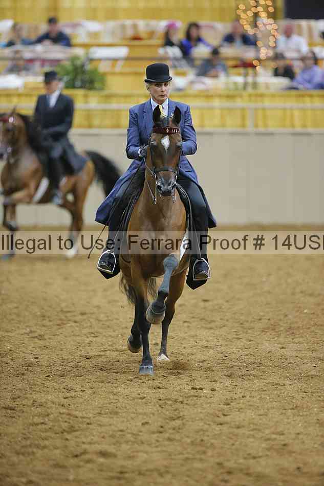 Proof 14usn_02240