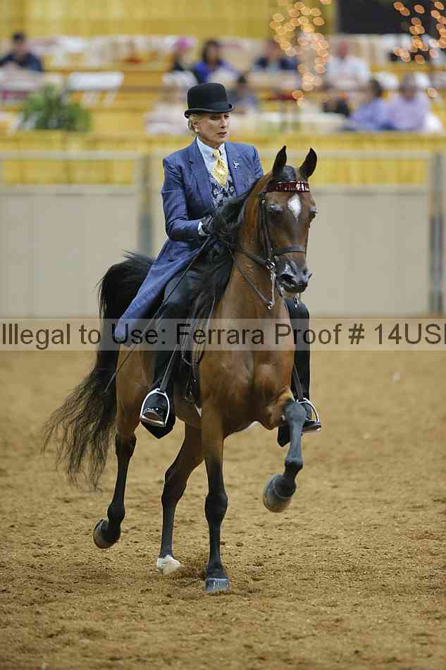 Proof 14usn_02241
