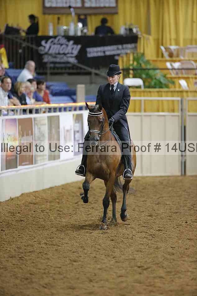 Proof 14usn_02244