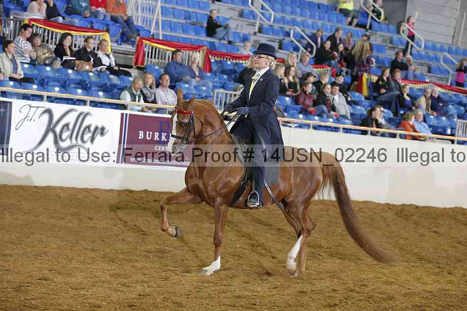 Proof 14usn_02246