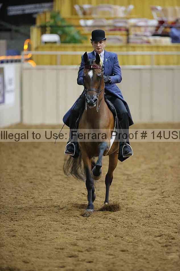 Proof 14usn_02254