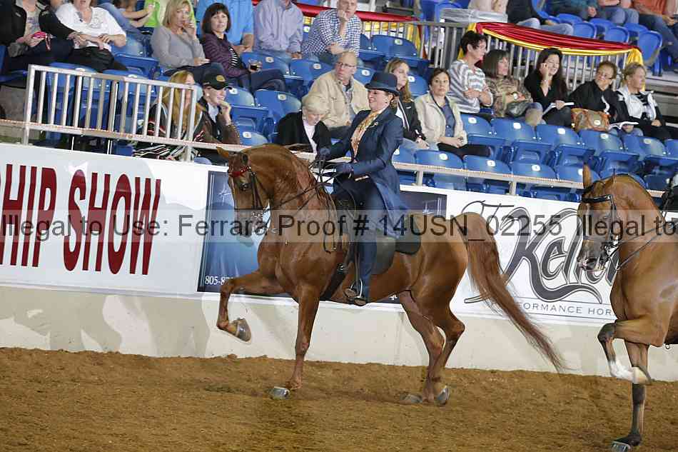 Proof 14usn_02255