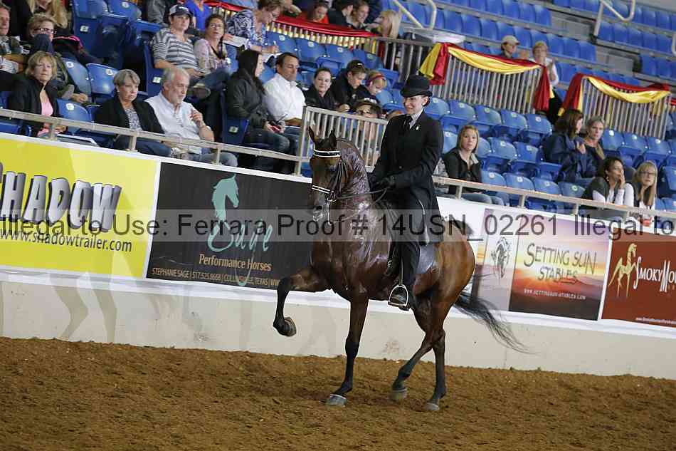 Proof 14usn_02261