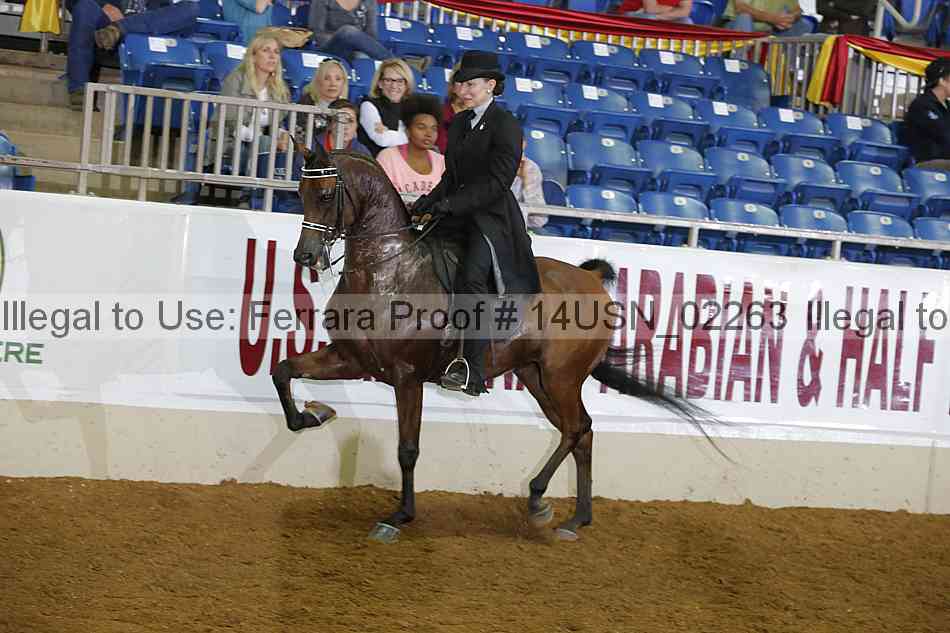 Proof 14usn_02263