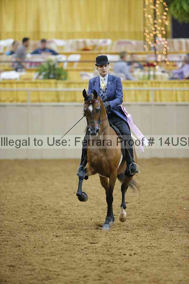 Proof 14usn_02264
