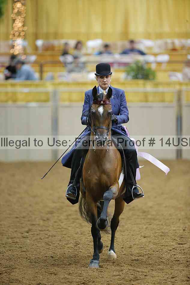 Proof 14usn_02265