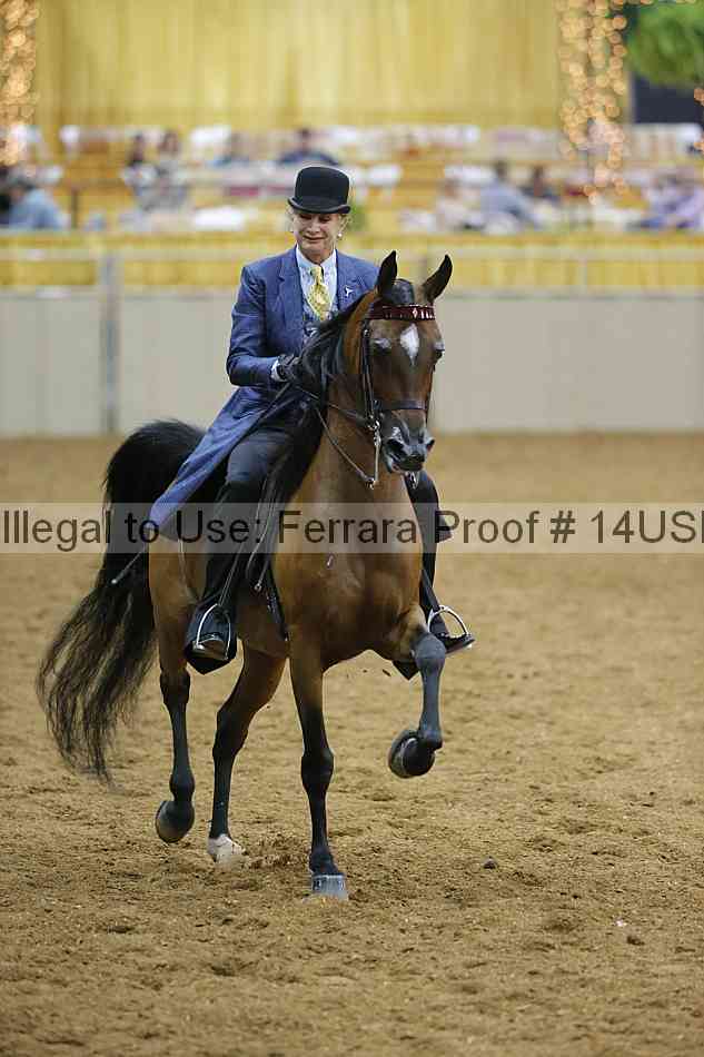 Proof 14usn_02266