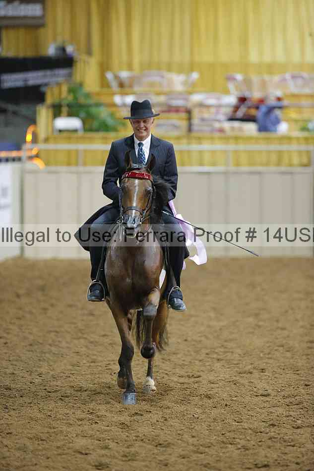 Proof 14usn_02269