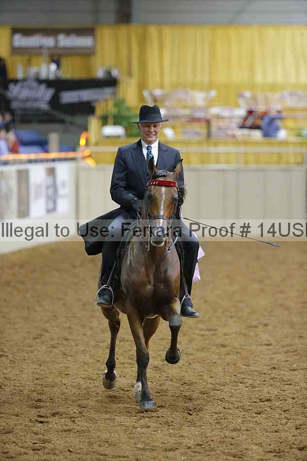 Proof 14usn_02270