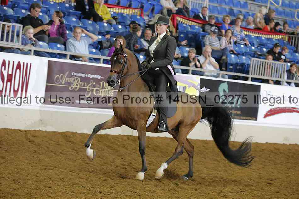 Proof 14usn_02275