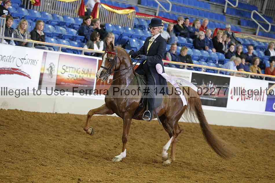 Proof 14usn_02277