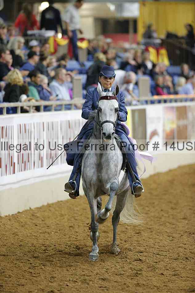 Proof 14usn_02283
