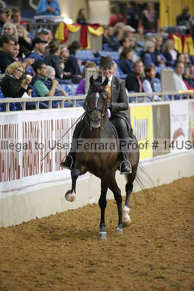 Proof 14usn_02287