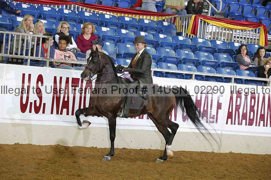 Proof 14usn_02290
