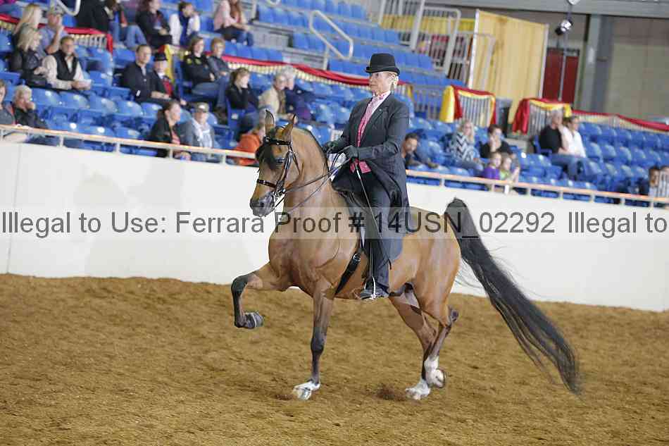 Proof 14usn_02292