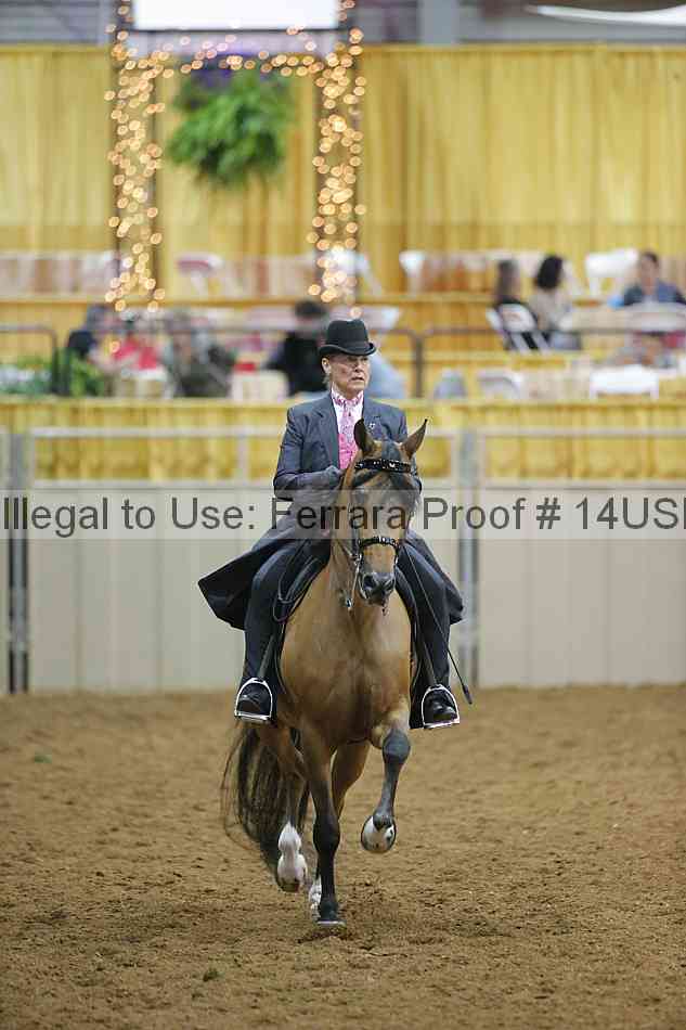 Proof 14usn_02293