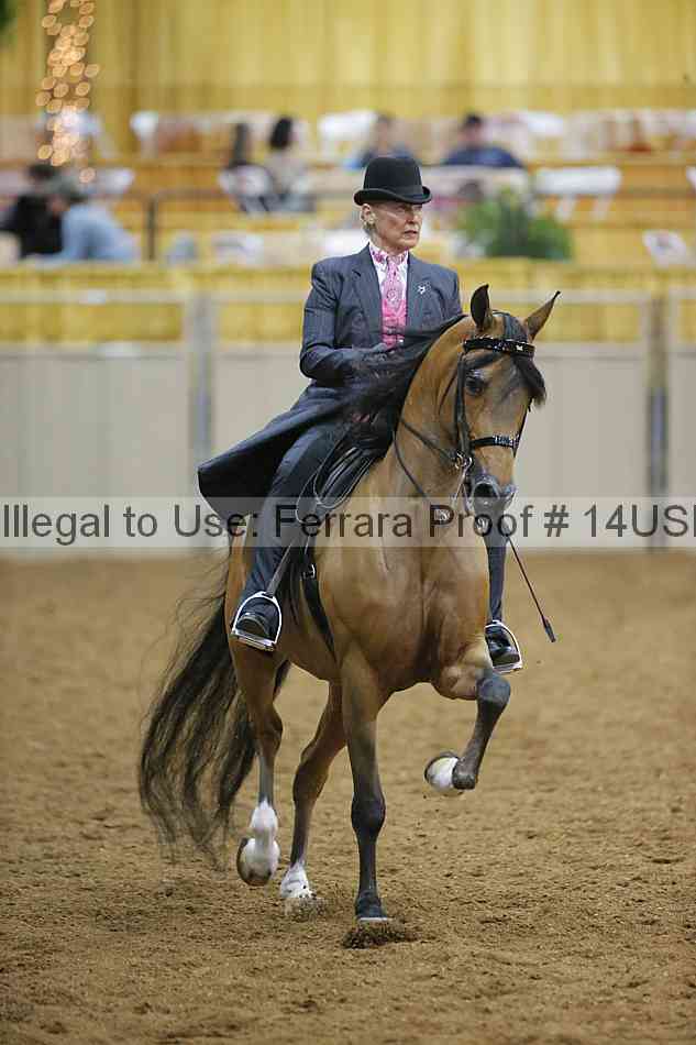 Proof 14usn_02295