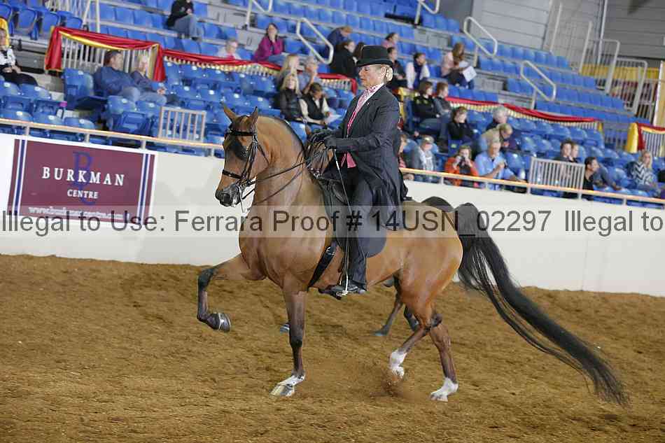 Proof 14usn_02297
