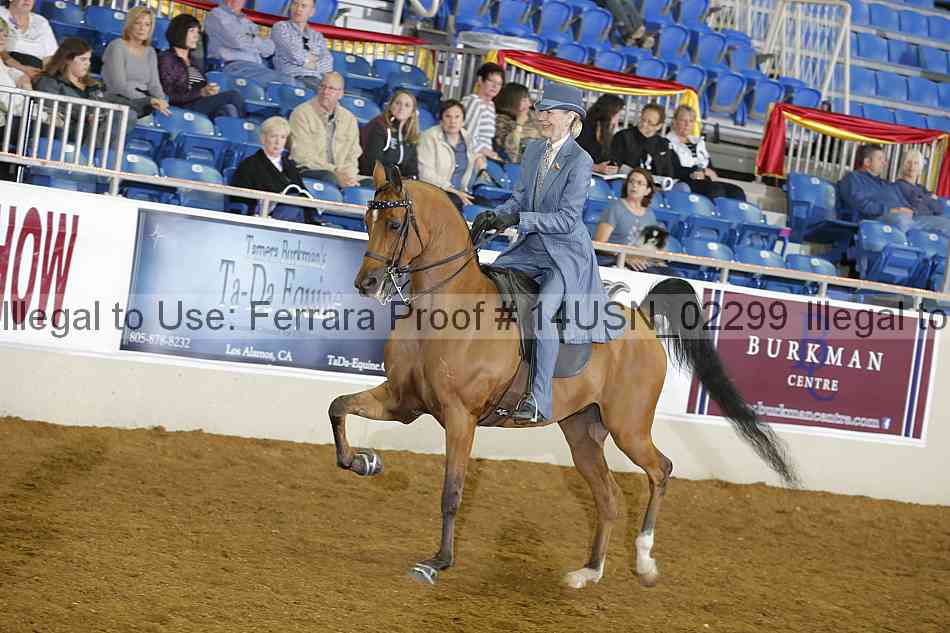 Proof 14usn_02299