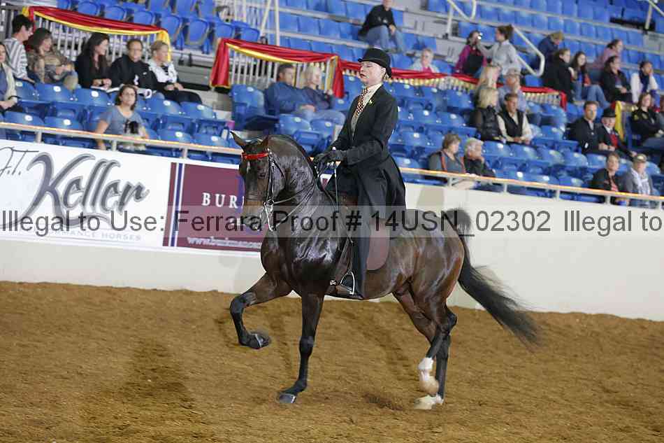 Proof 14usn_02302
