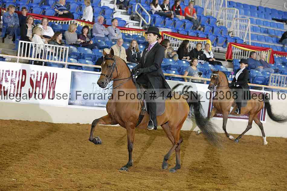 Proof 14usn_02308