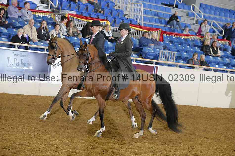 Proof 14usn_02309