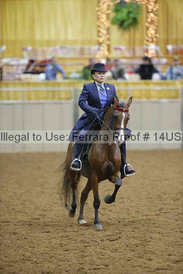 Proof 14usn_02310