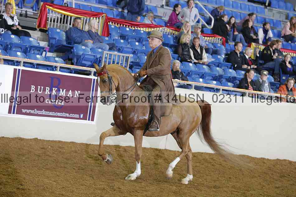 Proof 14usn_02311