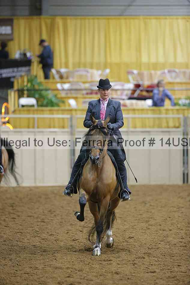 Proof 14usn_02313