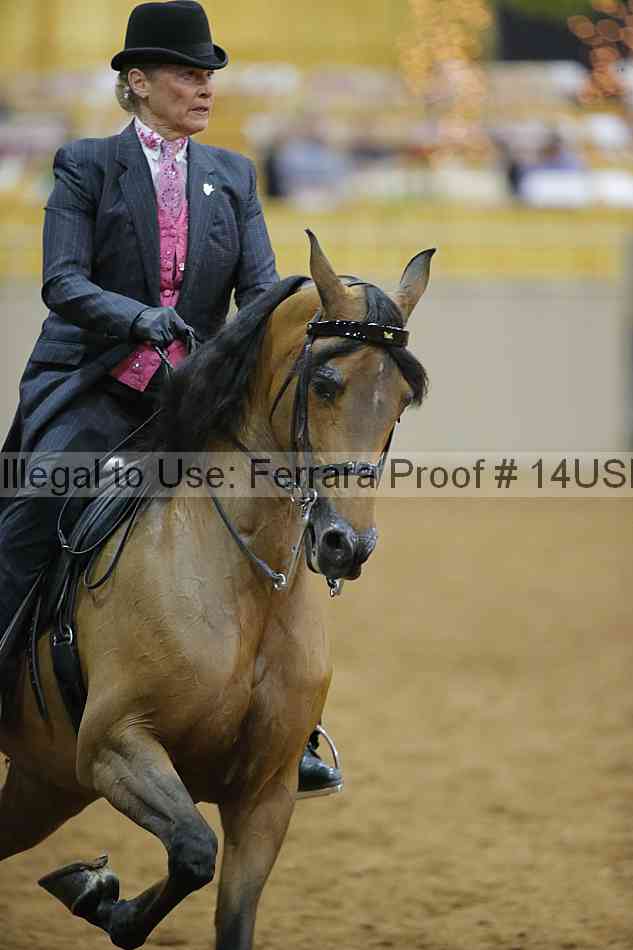 Proof 14usn_02314