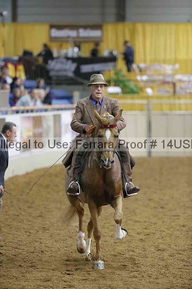 Proof 14usn_02316