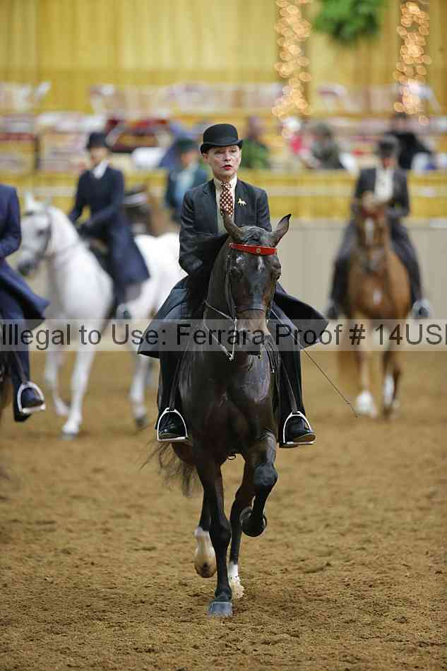 Proof 14usn_02317