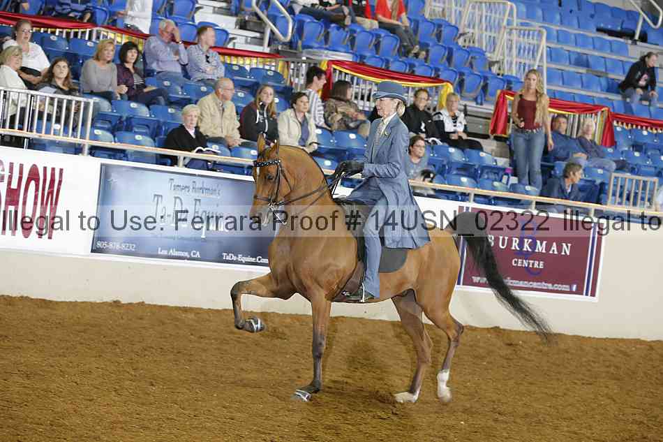 Proof 14usn_02322