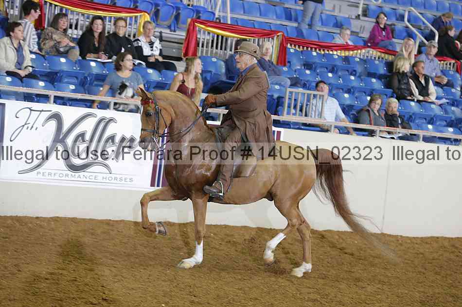 Proof 14usn_02323