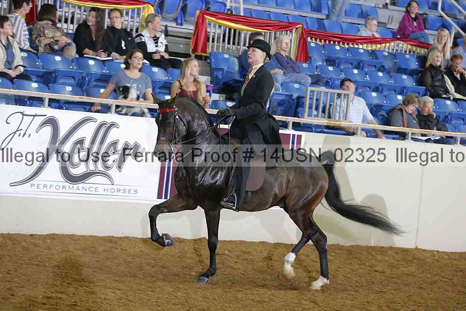 Proof 14usn_02325