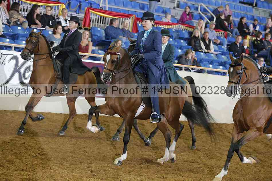 Proof 14usn_02328
