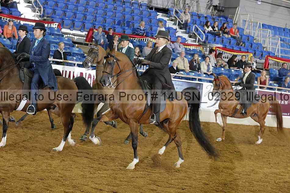 Proof 14usn_02329