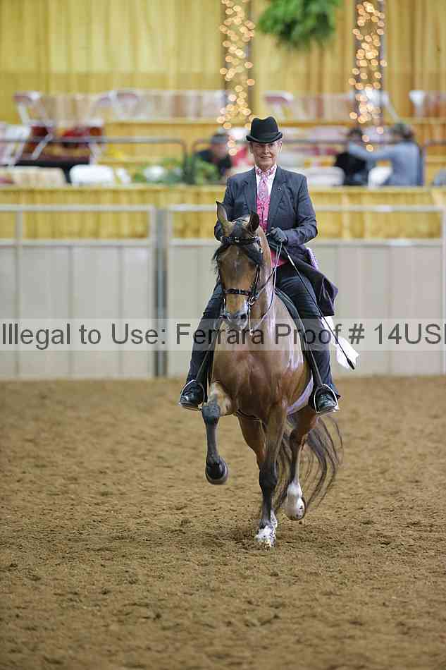 Proof 14usn_02336