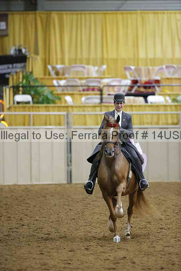 Proof 14usn_02359