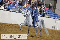 14usn_13223 proof