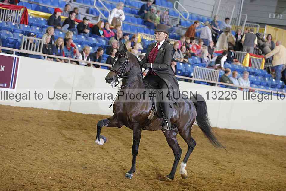 Proof 14usn_13226