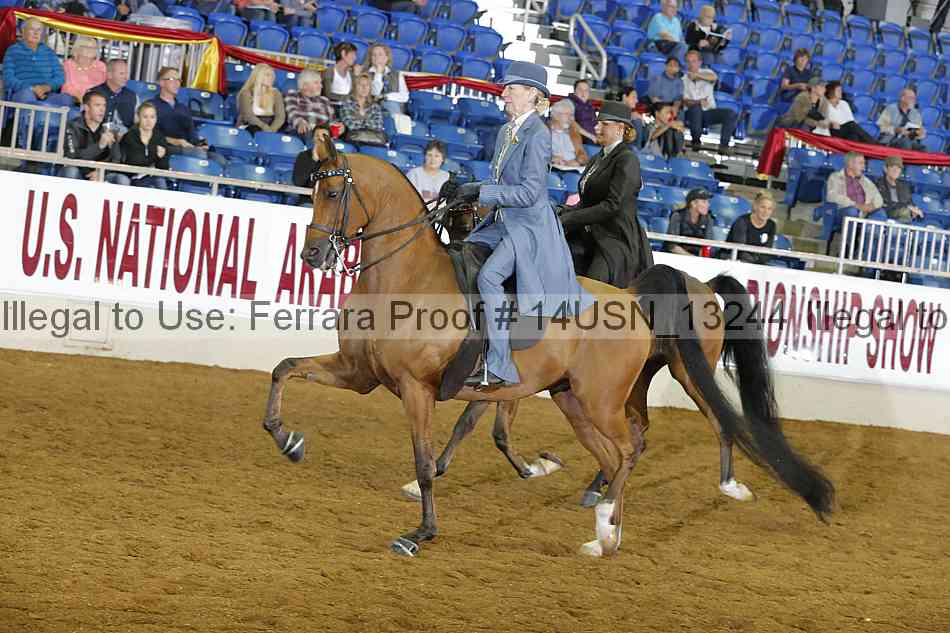 Proof 14usn_13244