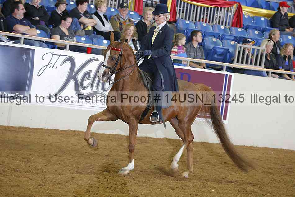 Proof 14usn_13245